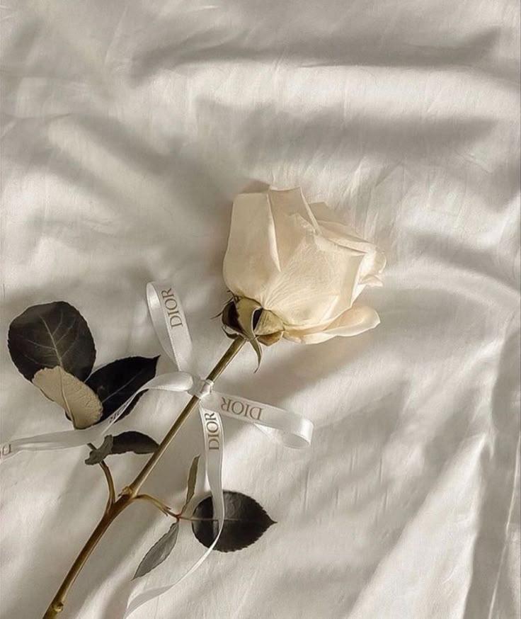 Whimsical Blossoms: A Symphony of Petals